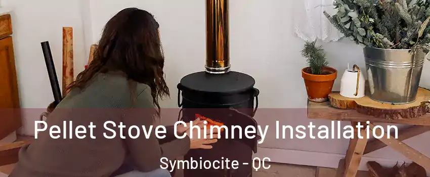  Pellet Stove Chimney Installation Symbiocite - QC