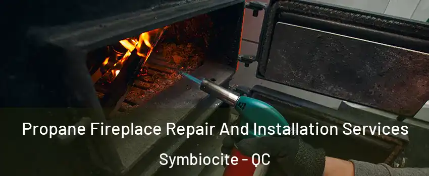 Propane Fireplace Repair And Installation Services Symbiocite - QC
