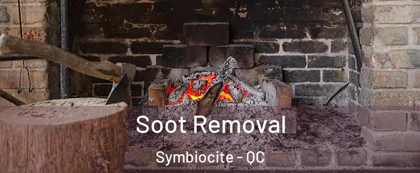  Soot Removal Symbiocite - QC