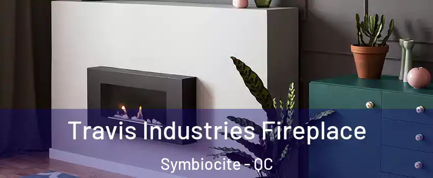  Travis Industries Fireplace Symbiocite - QC