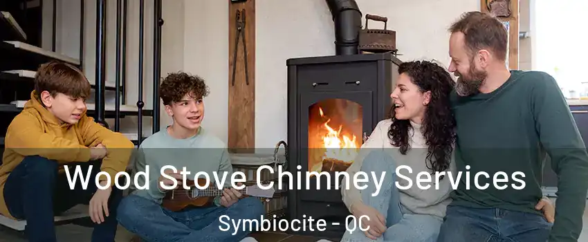  Wood Stove Chimney Services Symbiocite - QC